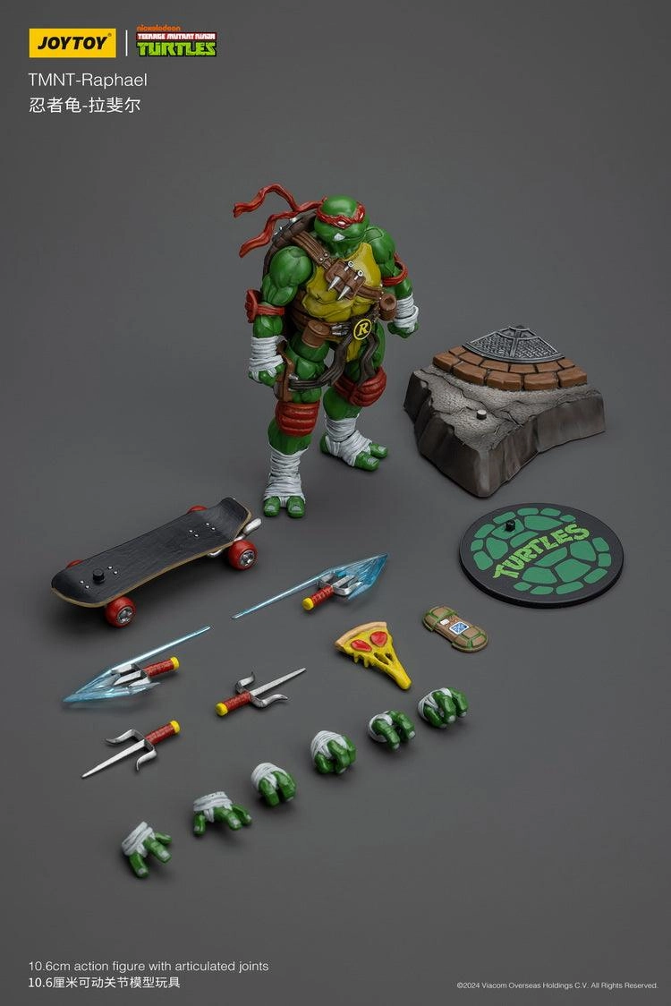 1:18 Teenage Mutant Ninja Turtles (TMNT) Action Figure Community Driven Pirate Adventure