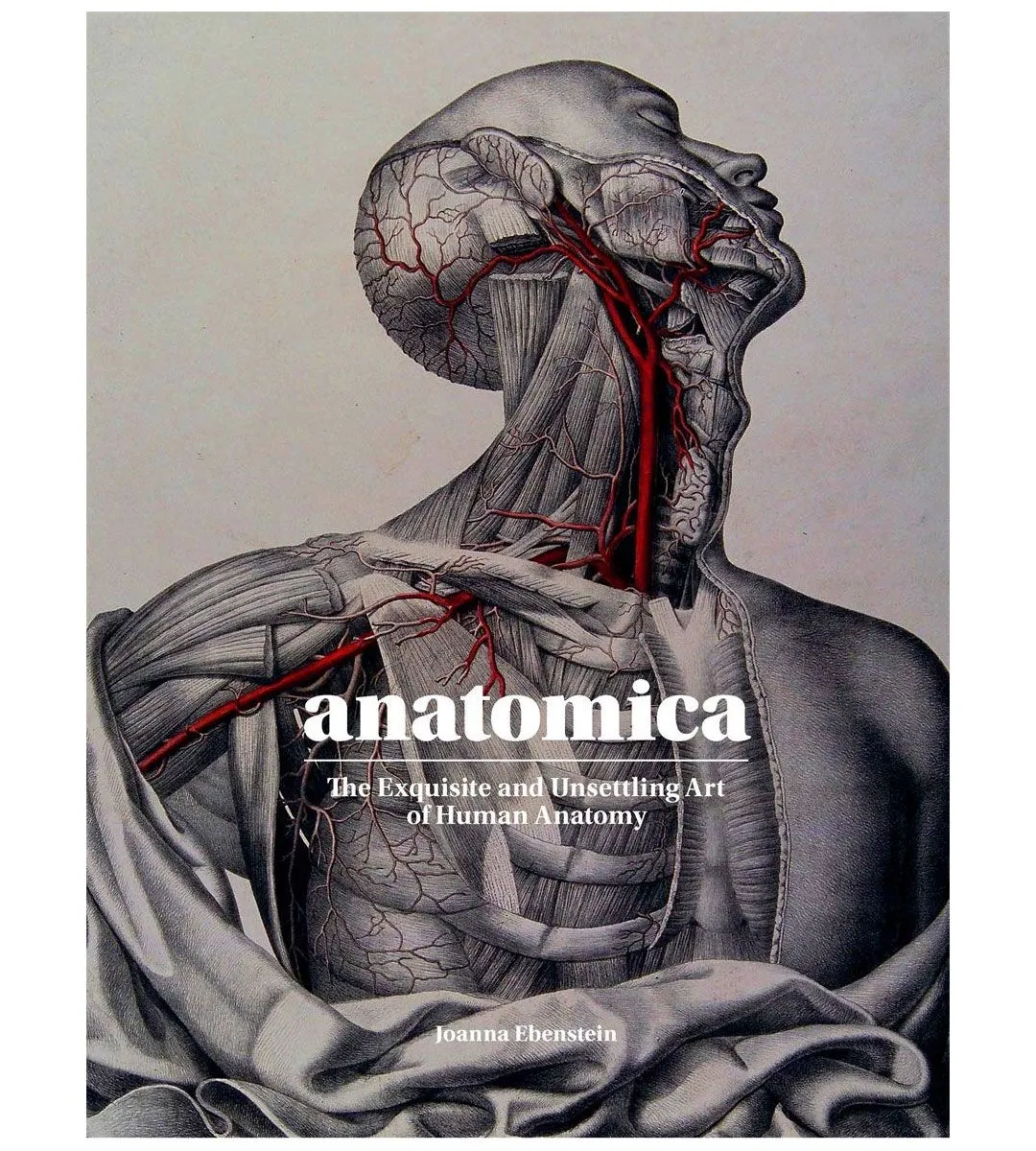 Stylized Art Anatomica, The Exquisite and Unsettling Art of Human Anatomy