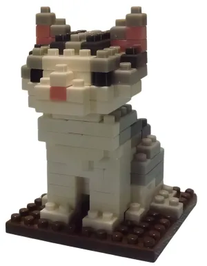 Pool Party Sharing Practice Daiso PB0033??American Shorthair??119 Pieces Mini Block