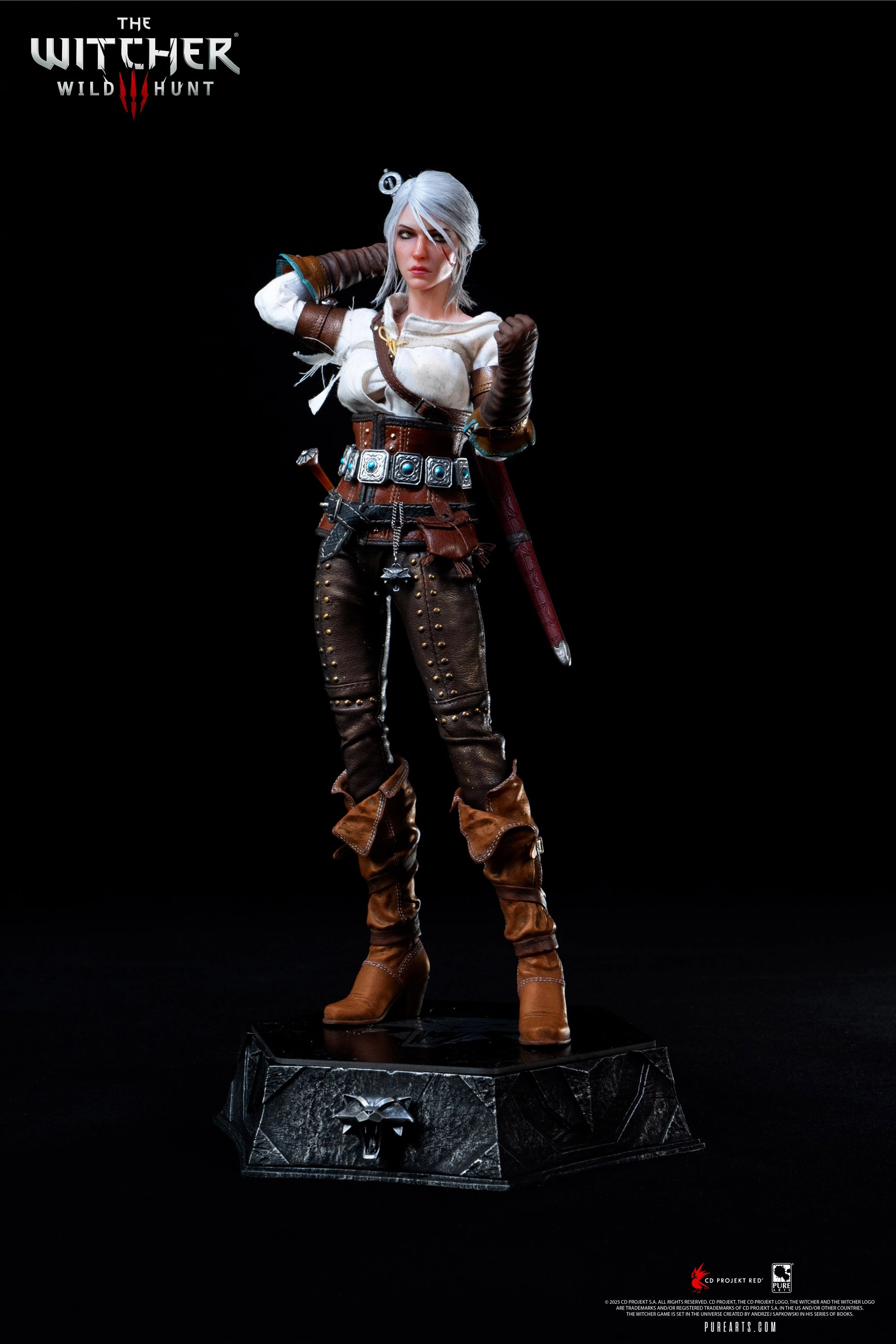 The Witcher 3: Wild Hunt - Ciri of Cintra 1/6 Scale Figure Personal Collection