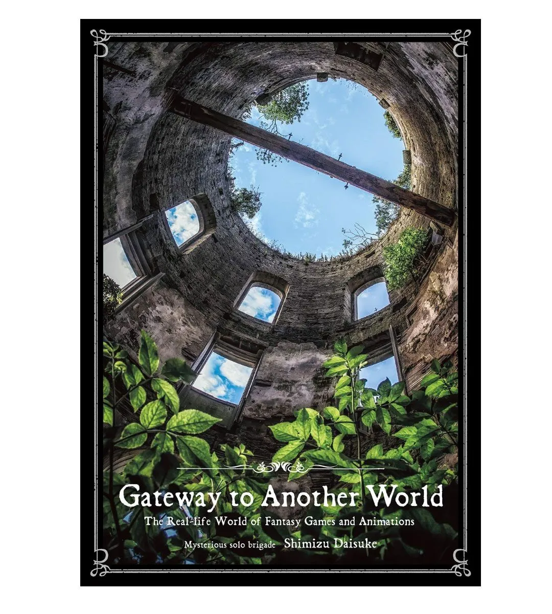 Gateway to another world - Shimizu Daisuke Conservation Grade Gaming Article