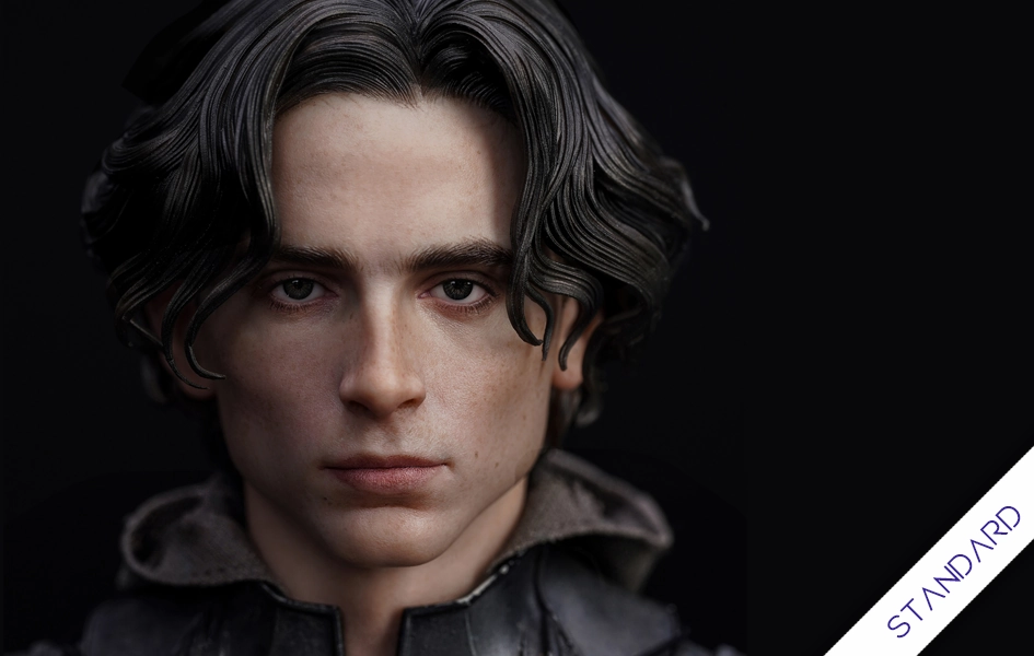 Paul Atreides (Standard) InArt 1/6 Scale Figure Teaching Aid Collectors Toy