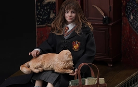 Animation Series Harry Potter - Hermione Granger InArt 1/6 Scale Figure