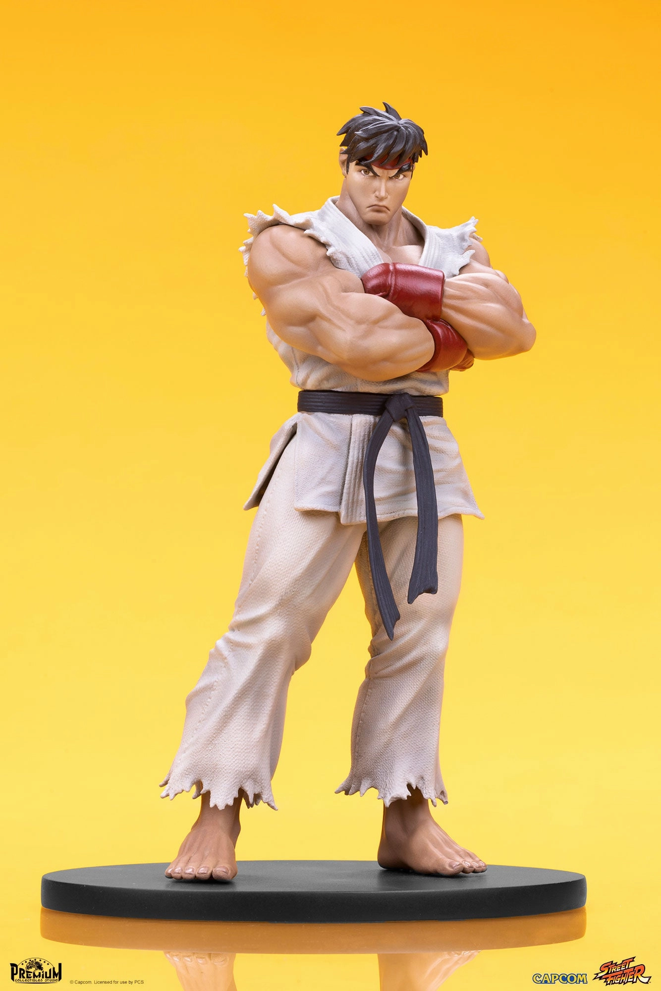 Ryu and Dan 1/10 Scale Statue Set Evergreen Product Role Playing