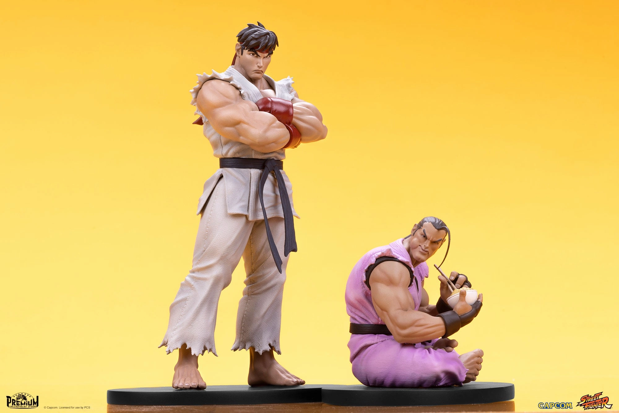 Ryu and Dan 1/10 Scale Statue Set Collectible Toy Movie Toy